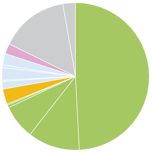 Circle graph depicting the following data.