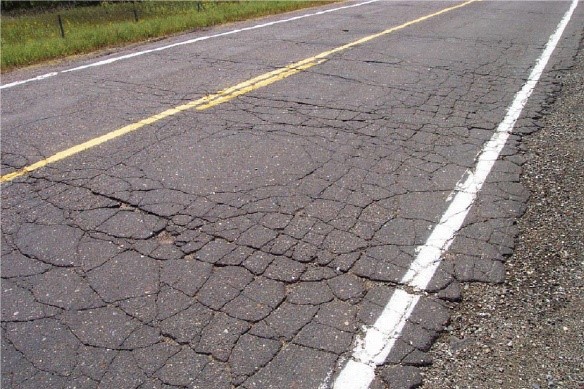 A close-up photo of cracked pavement