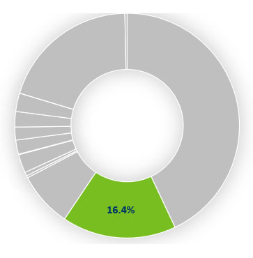 16.4% of the total budget